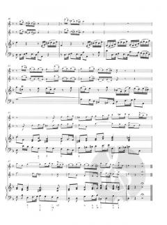 Affettuoso aus dem 5. Brandenburgischen Konzert (Johann Sebastian Bach) 