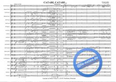Catari, Catari 