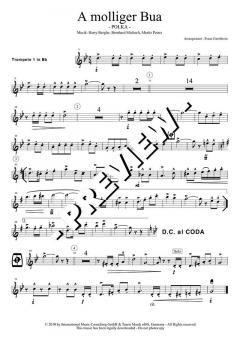 A molliger Bua - DOWNLOAD von Harry Bergler (Download) 