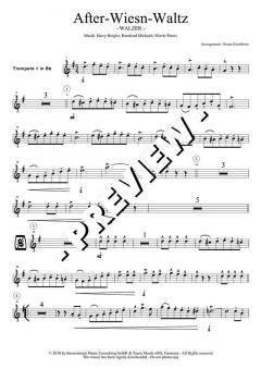 After Wiesn Waltz - DOWNLOAD von Harry Bergler (Download) 
