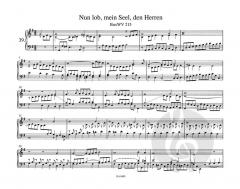 Neue Ausgabe sämtlicher Orgelwerke 5 von Dietrich Buxtehude (Download) 