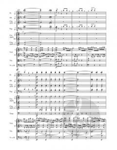 Symphonie Nr. 3 op. 55 von Ludwig van Beethoven 