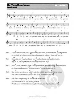 Der Hüttenmusikant 