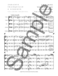 Andante Tranquillo e Scherzo von Carl Nielsen 