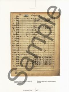 Aladdin von Carl Nielsen 
