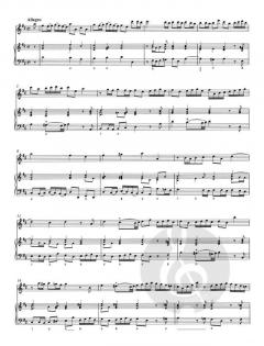 Zwei Sonaten von Georg Philipp Telemann für Querflöte und Basso continuo (aus Essercizii musici) im Alle Noten Shop kaufen