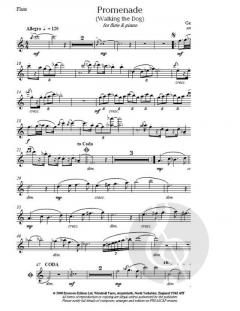 Promenade von George Gershwin 