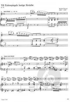 Orchesterstudien für Flöte und Klavier im Alle Noten Shop kaufen