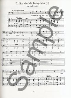 Wesendonk Lieder And Other Songs For Voice And Piano von Richard Wagner 