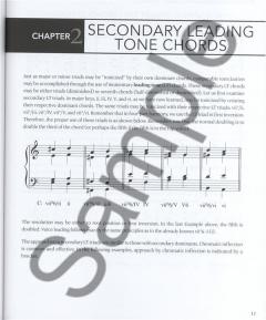 Hal Leonard Harmony & Theory von George Heussenstamm 