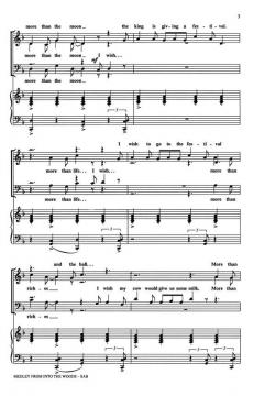 Into The Woods (Medley) (Stephen Sondheim) 