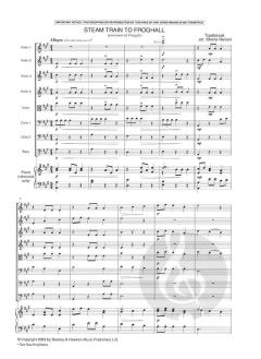 The Sheila Nelson Ensemble Book 2 für 4-8 Streicher; Klavier ad lib. im Alle Noten Shop kaufen