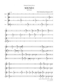 Sound 1 (Pelle Gudmundsen-Holmgreen) 