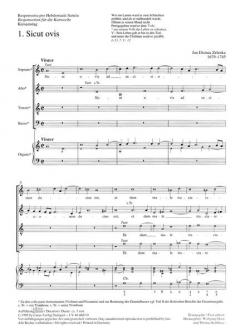 Sicut ovis (Jan Dismas Zelenka) 