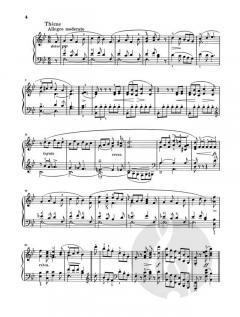 Klavierstücke von Frédéric Chopin im Alle Noten Shop kaufen - HN319