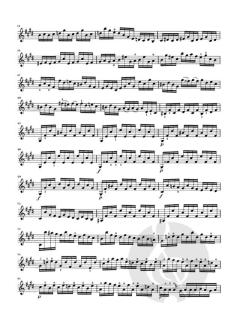 Sonaten und Partiten BWV 1001-1006 von Johann Sebastian Bach für Violine solo (unbezeichnete und bezeichnete Stimme) im Alle Noten Shop kaufen