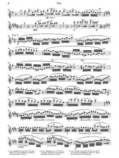 Variationen über 'Trockne Blumen' von Franz Schubert 
