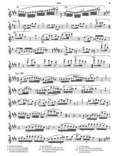 Variationen über 'Trockne Blumen' von Franz Schubert 