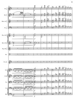 Violinkonzert D-dur op. 77 von Johannes Brahms 