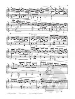 Paganini-Etüden op. 3 und op. 10 von Robert Schumann 