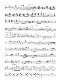 Konzert für Violoncello und Orchester Nr. 1 a-moll op. 33 von Camille Saint-Saëns im Alle Noten Shop kaufen