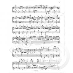 Kadenzen zu Mozarts Klavierkonzert C-Dur KV467 im Alle Noten Shop kaufen