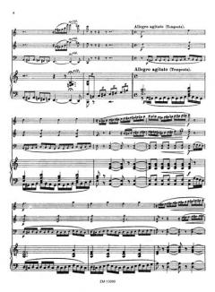 Au vol d’oiseau op. 98 (Ernesto Köhler) 