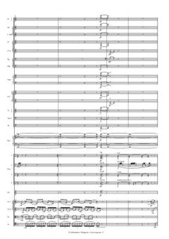 Concerto Grosso von Pelle Gudmundsen-Holmgreen 