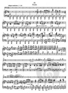 Konzert h-Moll op. 104 von Antonín Dvořák (Download) 