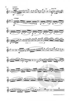 Kadenzen und Verzierungen zu dem Klarinettenkonzert Nr. 7 Es-Dur von Carl Stamitz 