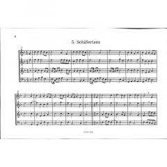 Das Blockflötenquartett 4 (Rudolf Schäfer) 