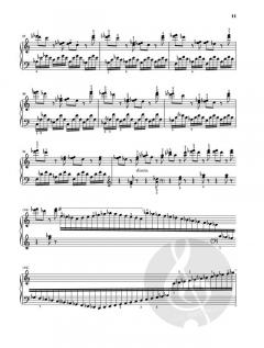 Kadenzen und Eingänge zu Klavierkonzerten von Ludwig van Beethoven im Alle Noten Shop kaufen