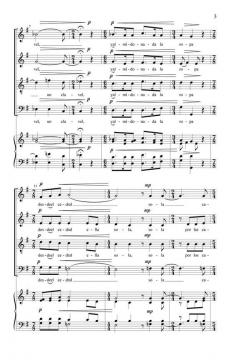 Por Los Caminos De Zorca von Christian Grases (Download) 