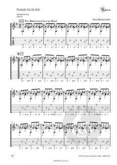Picking Basics - Das Spielbuch Band 2 von Hans Westermeier 