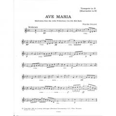 Ave Maria von Johann Sebastian Bach 