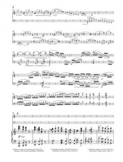 Doppelkonzert a-moll op. 102 (Johannes Brahms) 