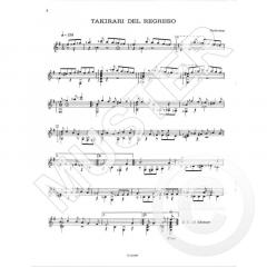 La guitarra andina von Gerald Schwertberger 