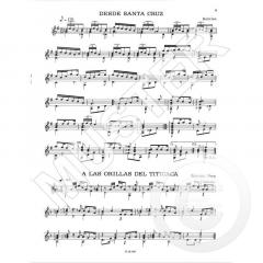 La guitarra andina von Gerald Schwertberger 