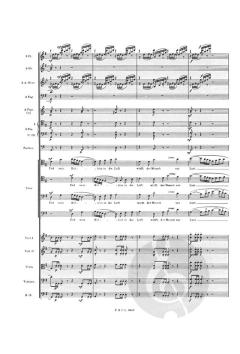 Die Tageszeiten op. 76 von Richard Strauss 