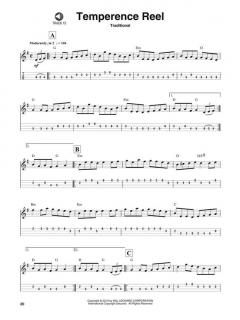 Mandolin Play-Along Vol. 2: Celtic im Alle Noten Shop kaufen