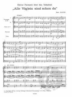 Kleine Fantasie (Bert Mayer) 