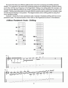 Expanding Your Soloing For The Guitarist von Scott Reed 