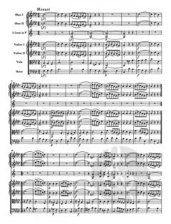 Sinfonie f-Moll Hob. I:49 'La passione' von Carl-Gabriel Stellan Mörner 