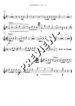 Play Along mit Blasmusik Vol. 1 Set 4 von Original Hofbräuhaus-Festkapelle für Trompete 1, 2 im Alle Noten Shop kaufen
