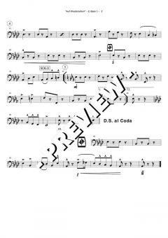 Play Along mit Blasmusik Vol. 1 Set 8 von Original Hofbräuhaus-Festkapelle 