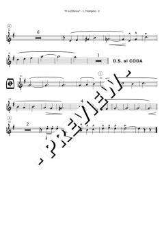 Play Along mit Blasmusik Vol. 2 Set 4 von Original Hofbräuhaus-Festkapelle für Trompete 1, 2 im Alle Noten Shop kaufen
