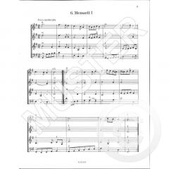 Das Schülerstreichorchester Heft 2 von Rudolf Schäfer 