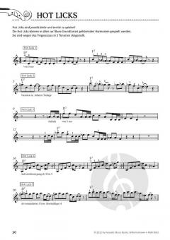 Die Bluesgeige 