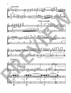 Concerto doppio von Krzystof Penderecki 