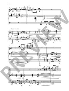 Skizzen, Ruinen, Adlerfittige op. 61 von Stefan Heucke 